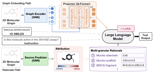 MR-MoL model architecture